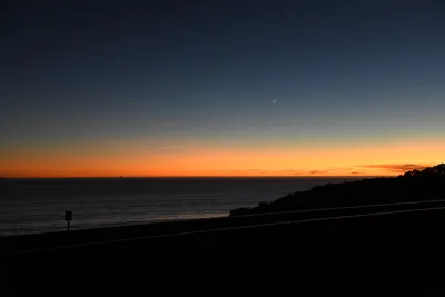 DSC_2572 (Large).JPG